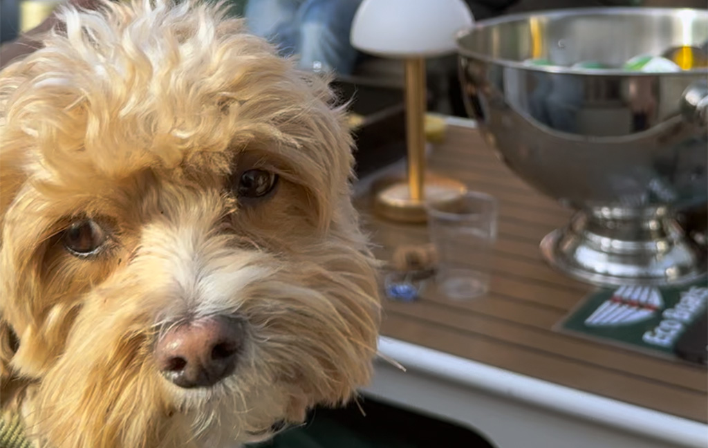 varen in amsterdam met hond